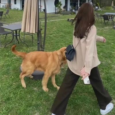 百姓贵族第二季