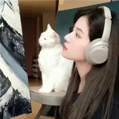老虎的眼睛