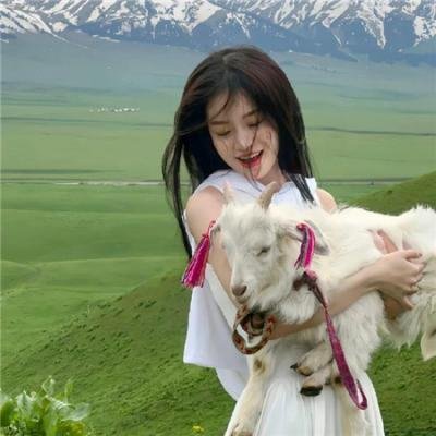 动物世界名人录